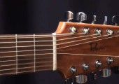 3e présentation : guitare Norman B-20 modifiée
