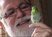 Commentaire du 4 septembre 2011 / Pierre Desroches (52e)