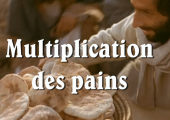 Retour de mission et première multiplication des pains