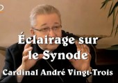 Retour très éclairant sur le Synode / Cardinal André Vingt-Trois
