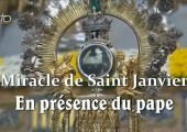 Le miracle de Saint Janvier en présence du pape François (178e)