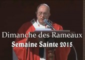 Entrée de Jésus à Jérusalem / Pape François (179e)