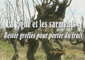 Rester greffés pour porter du fruit / Pierre Desroches (212e)