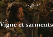 La vigne véritable et les sarments (récit biblique)