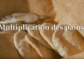 Le pain, le vin et nos fragilités / Pierre Desroches (224e)