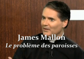 Le problème des paroisses / James Mallon