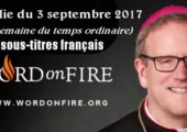 La lourde tâche du prophète / Robert Barron (61e)