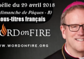 4 leçons spirituelles sur Saint Paul / Robert Barron (95e)
