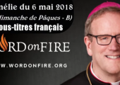 Le point de départ de la vie spirituelle / Robert Barron (96e)