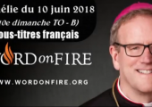 Adam, Ève et le péché originel / Robert Barron (101e)