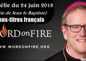 Le Baptiste pour mieux saisir le Christ / Robert Barron (103e)