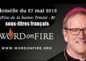 La TRINITÉ et son invitation à la mission / Robert Barron (99e)