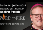 Dieu n’a pas fait la mort / Robert Barron (104e)