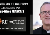 Apocalypse (4e de 5 vidéos) / Robert Barron (123e)