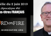 Apocalypse (6e de 6 vidéos) : L’Esprit et l’Épouse / Robert Barron (125e)