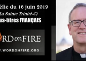 Magnifique explication du Mystère de la Trinité / Robert Barron (126e)