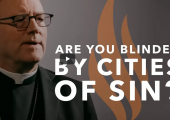Are You Blinded by Cities of Sin ? / Robert Barron (30th TO-B) 24 octobre 2021 (176e)