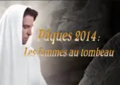 Commentaire du 20 avril 2014 / Pierre Desroches (161e)