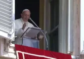 L&rsquo;ivraie et le bon grain : la patience du Père / Pape François