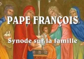Vouloir s’emparer de la vigne du Seigneur / Pape François