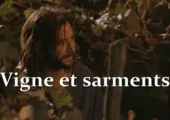 La vigne véritable et les sarments (récit biblique)