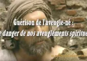 Les dangers de nos aveuglements / Pierre Desroches (312e)