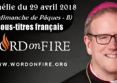 4 leçons spirituelles sur Saint Paul / Robert Barron (95e)