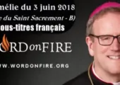 Le sacrifice de Jésus : Moïse et l’A.T. / Robert Barron (100e)