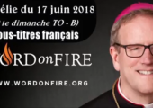Dieu et ceux qui ne paraissent rien / Robert Barron (102e)