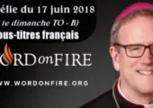 Dieu et ceux qui ne paraissent rien / Robert Barron (102e)