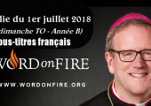 Dieu n’a pas fait la mort / Robert Barron (104e)