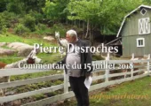 Alliances avec Dieu, libérations du démon / Pierre Desroches (382e)