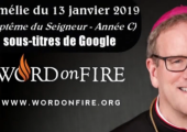 Le baptême de Jésus et le sacrement du baptême / Robert Barron (105e)