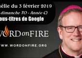 La primauté de l’amour en tout / Robert Barron (108e)
