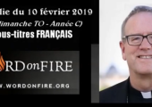 La Grâce première et non seule : l’appel de Pierre / Robert Barron – FRANÇAIS (109e)