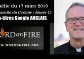 Que sera notre corps glorifié au ciel ? / Robert Barron (114e)