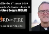 Que sera notre corps glorifié au ciel ? / Robert Barron (114e)