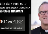 La femme adultère : la loi qui doit rendre humble / Robert Barron (117e)