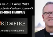 La femme adultère : la loi qui doit rendre humble / Robert Barron (117e)