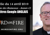 Le Seigneur en a besoin… de cet âne / Robert Barron (118e)