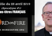 L’Apocalypse (1re de 5 vidéos) / Robert Barron (120e)