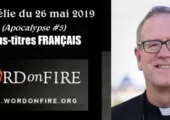 Apocalypse (5e de 5 vidéos) / Robert Barron (124e)