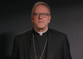 How to Know Christ Is Alive in You / Robert Barron (5th of Easter) 2 mai 2021 (151e)